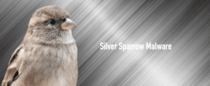 Silver sparrow